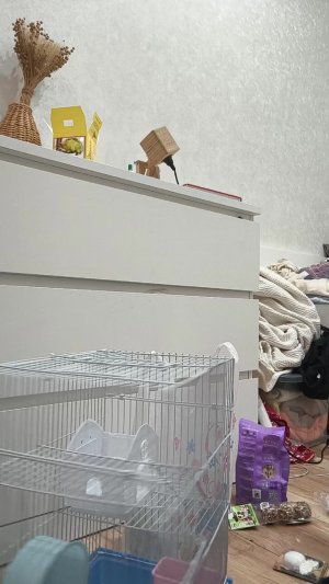 пополнение