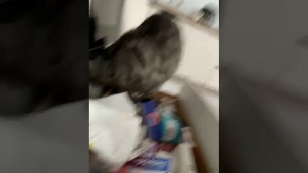 79267812194__E8F58CEA-C3C4-470C-B177-194C6846E9E7