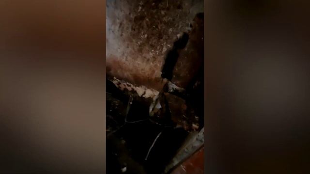 На страже закона 07.02.2026 смотреть онлайн