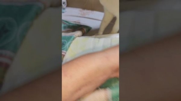 Подарок от подписчицы