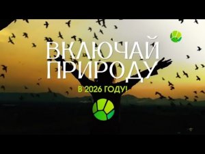 Уход на профилактику канала Живая планета 21.01.2026
