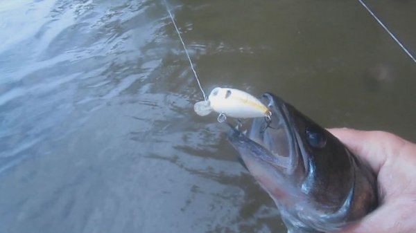 Ультралайт кайфушки