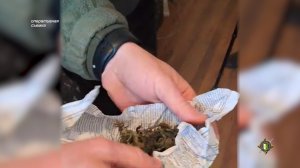 У жителя с. Хашта изъято наркотическое средство в крупном размере.