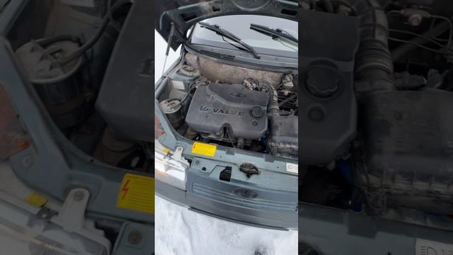 IMG_1911 смотреть онлайн