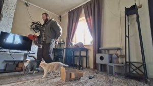 Утро в деревне ПОСПАЛ И ПОБЕЖАЛ кормить домашних животных ВЛОГ подвал ильича