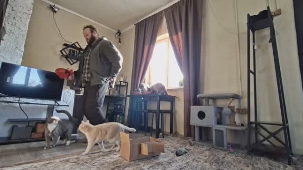 Утро в деревне ПОСПАЛ И ПОБЕЖАЛ кормить домашних животных ВЛОГ подвал ильича