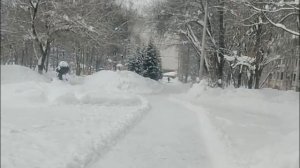 В магазине продают испорченные товары, внимательно осторожно проверяйте товар не отходя от кассы