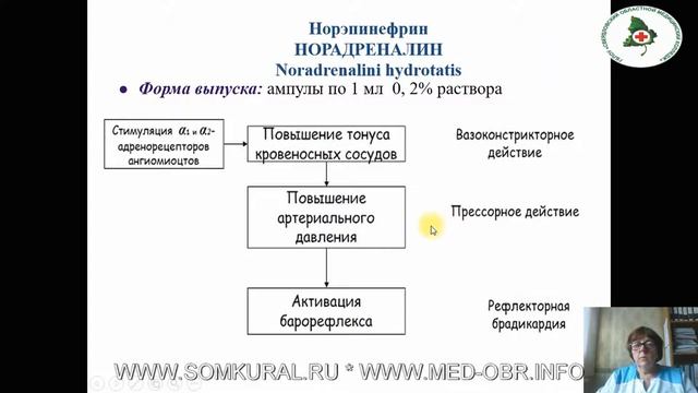 085Средства, действующие на ПНС Средства, действующие на адренергические синапсы смотреть онлайн