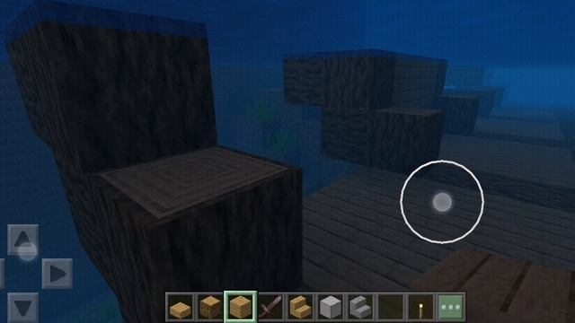 SVID_20260212_205719_1.mp4