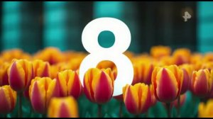 Праздничные заставки РЕН ТВ 08.03.2025