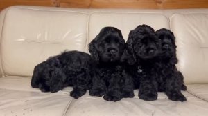 Так проходжит фотосессия 🤪