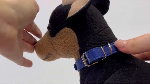 Как подобрать ошейник для собаки и выбрать размер