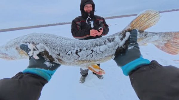ВСЕГО ВТОРОЙ ДЕНЬ РЫБАЛКИ А УЛОВ УЖЕ КАК ЗА НЕДЕЛЮ