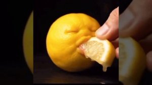 аххаахаах.mp4