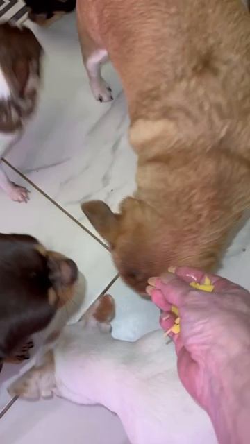 Все выпросят. смотреть онлайн