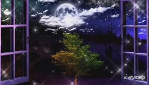 ДОБРЫЙ ВЕЧЕР /// СДЕЛАЙ ШАГ НАВСТРЕЧУ МНЕ...