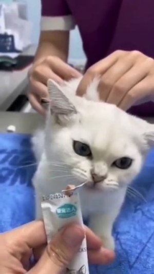 Грустно, но вкусно