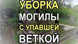 551M - Уборка могилы с обрезкой упавшей ветки, Кривой Рог