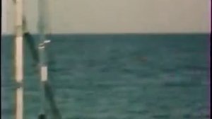 ВолЛКисС - Несонет