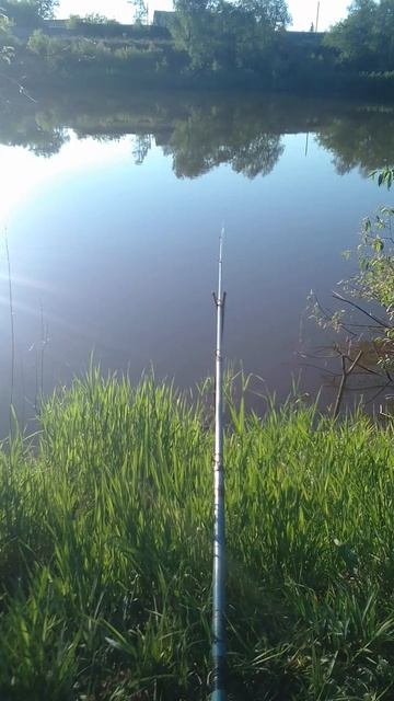 Покой и наслаждение...