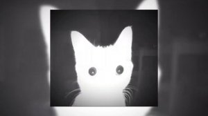 РАБ -  MAESTRO KUTZ (speed up)