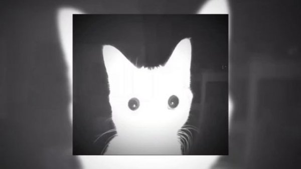 РАБ - MAESTRO KUTZ (speed up)