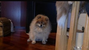 ТАК И ЖИВЁМ