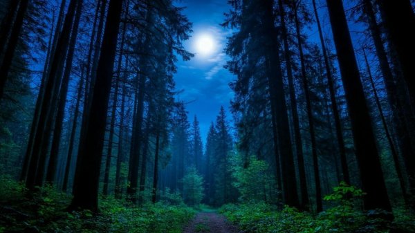 Там на суку, сидит ворона.