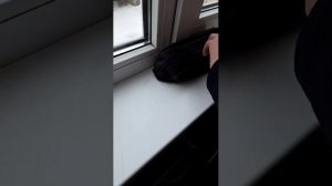 Играем в кости