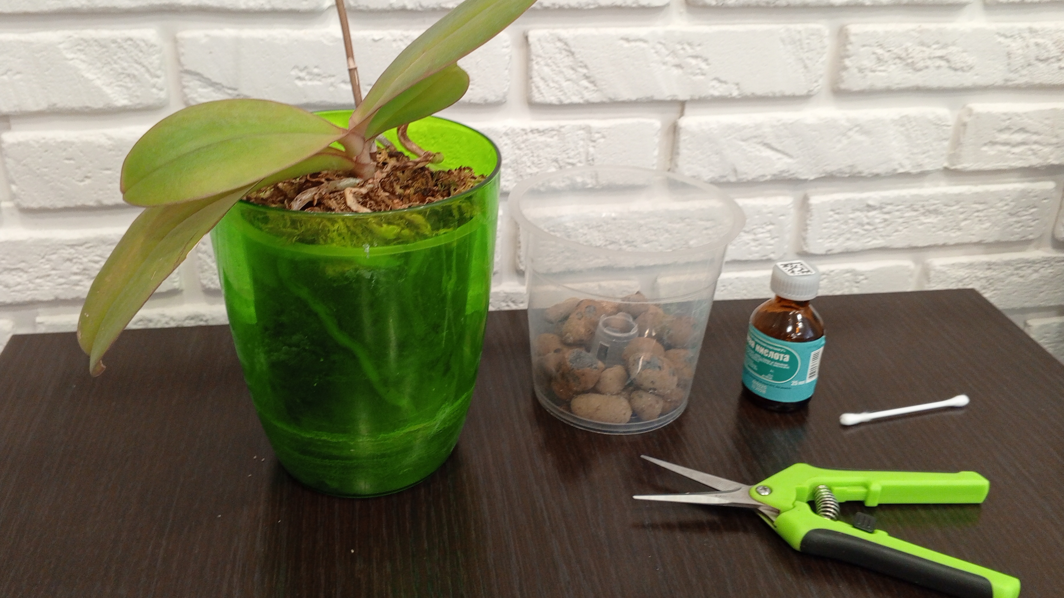 Пересадка орхидеи фаленопсис Карина смотреть онлайн