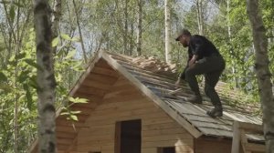 ЛЕСНАЯ ЖИЗНЬ , День за Днём , Лесные Хлопоты