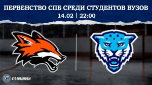 Лисы - Кронверкские Барсы / 14.02.2026