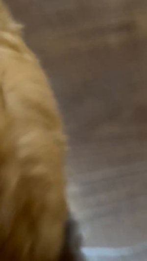 я глажу твои пятки #топ#топчик#тренд#эдит#тренды#эдиты