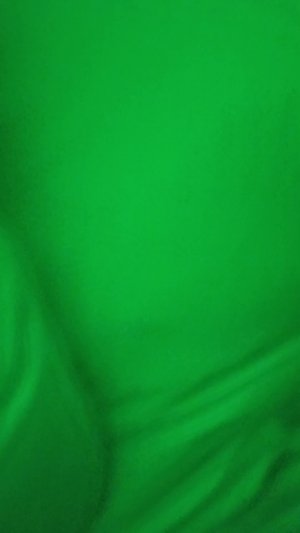 Зелёный цыет