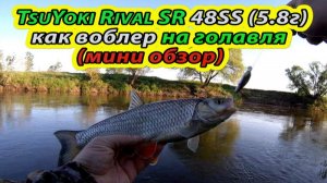 TsuYoki Rival SR 48SS (5.8г) как воблер на ГОЛАВЛЯ. Рыбалка на спиннинг. Ловля голавля.