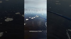 зимний МОРМЫШИНГ #fishing #рыбалка  #norstream #russia