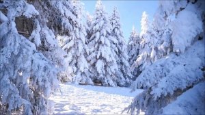 Почему 13 февраля - Решит вашу судьбу.