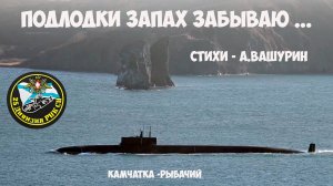 25-ая дивизия пл Подлодки запах забываю ...
