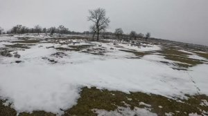 Погоня за зайцем