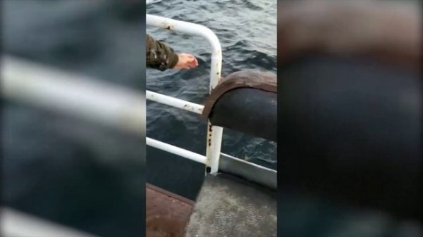 Поморская рыбалка