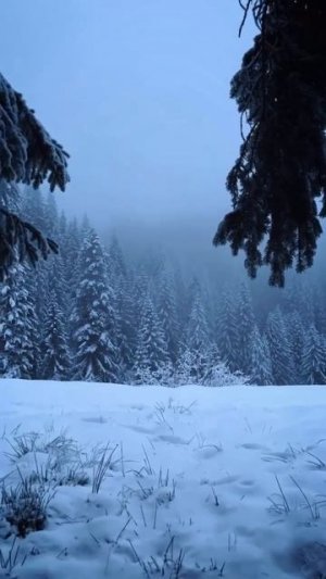 Новая глава начинается теперь...