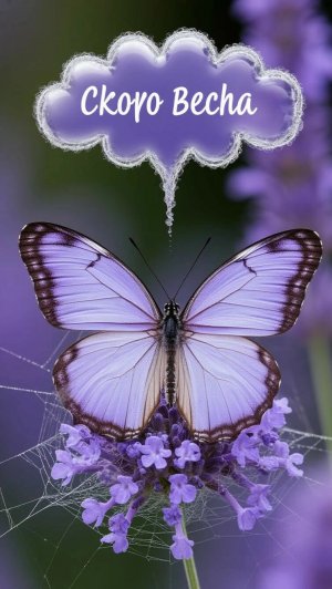 Скоро весна! С ПЯТНИЦЕЙ.ОТЛИЧНОГО ВЕЧЕРА!