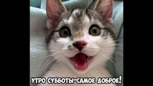 Разговоры с коллекторами 118