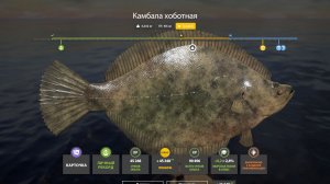 ПЕРВЫЙ РАЗ НА НОРВЕЖСКОМ МОРЕ И СРАЗУ ТРОФЕЙ!!!РУССКАЯ РЫБАЛКА 4