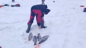 13.02.26 г. РК Волна.