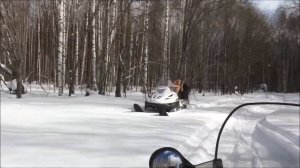 уральский дед