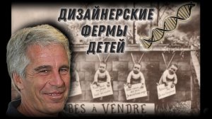 ДЖЕФФРИ ЭПШТЕЙН И ЕВГЕНИКА:   Секретные Проекты по Созданию Генномодифицированной Расы