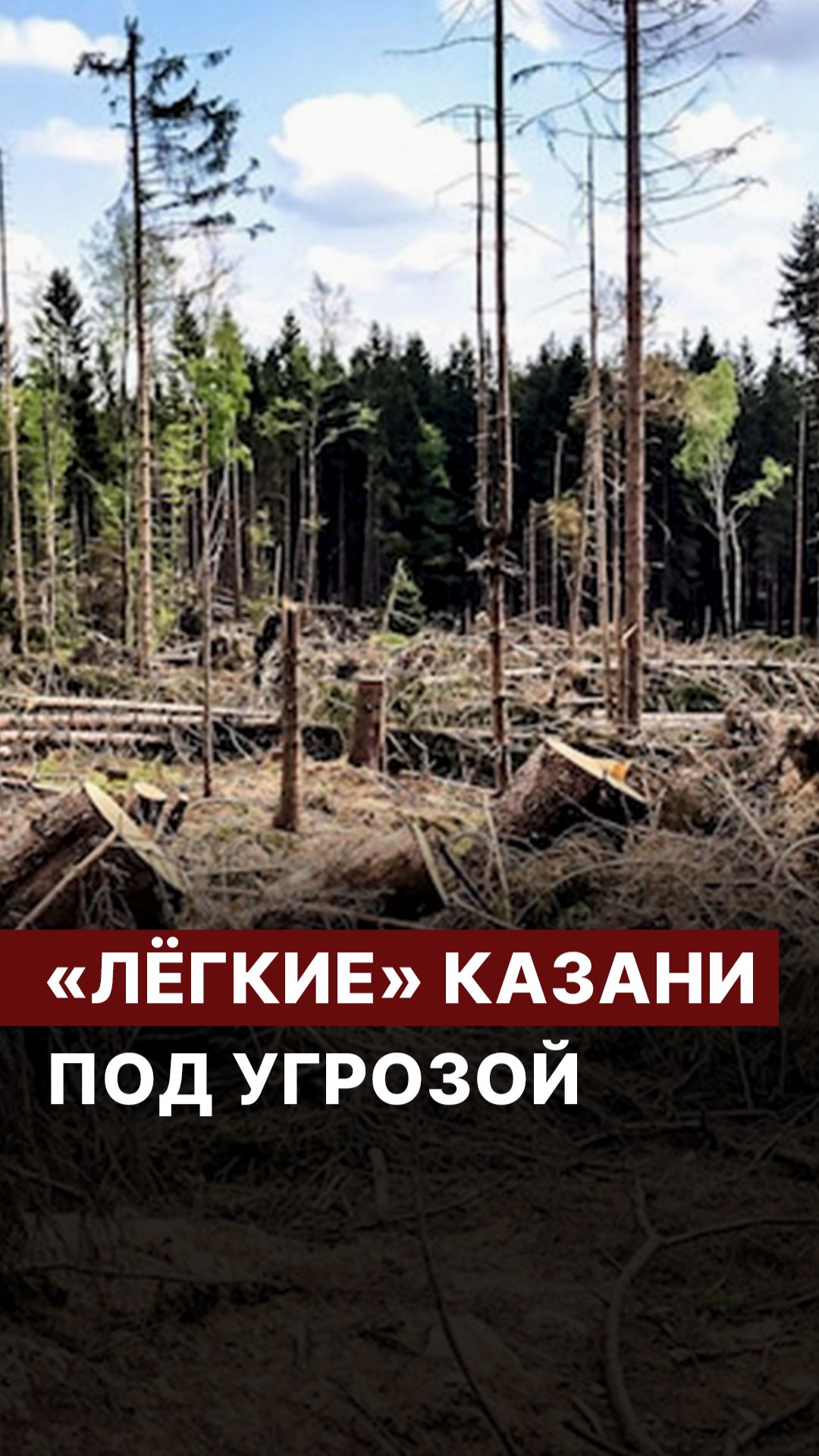 «Легкие» Казани под угрозой