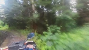 Семейная покатушка на квадрике!