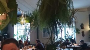 Кафе Грин дог, Бутлерова, 45 г. Казань